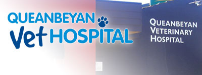 Queanbeyan Vet Hospital 